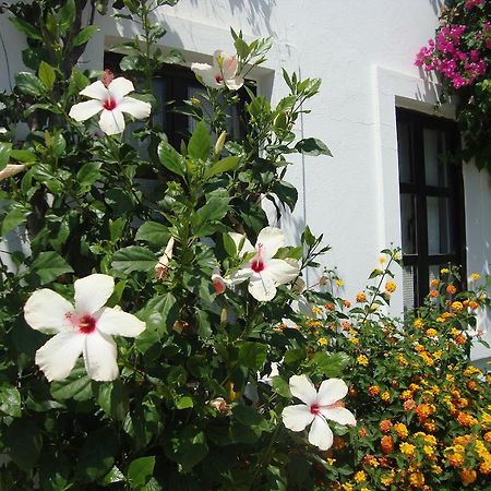 גומבט Mimosa Apart Hotel מראה חיצוני תמונה