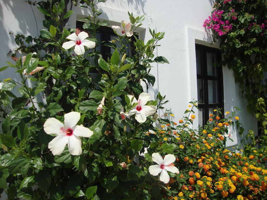 גומבט Mimosa Apart Hotel מראה חיצוני תמונה