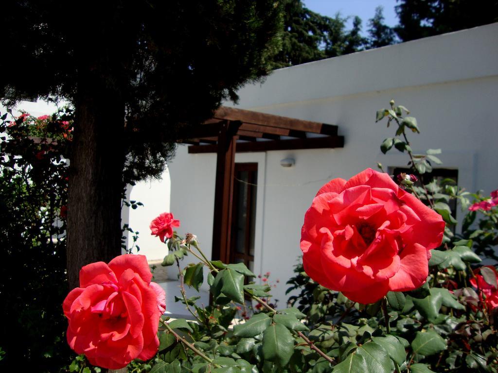 גומבט Mimosa Apart Hotel מראה חיצוני תמונה